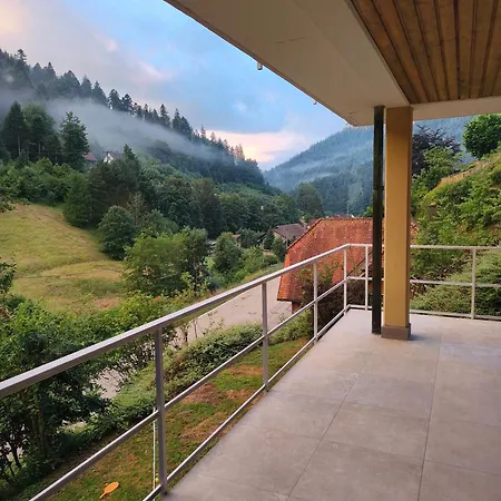 Startingpoint Mit Schwarzwald Apartment