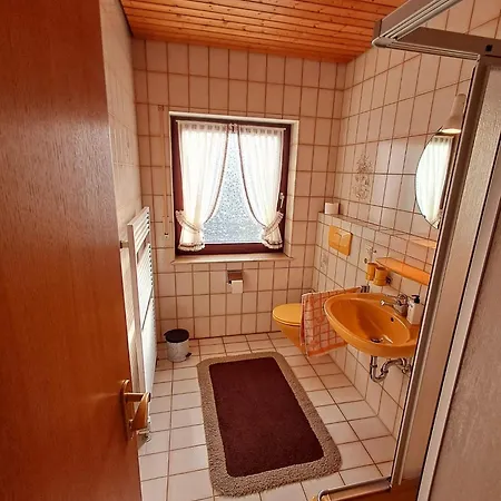 Startingpoint Mit Schwarzwald