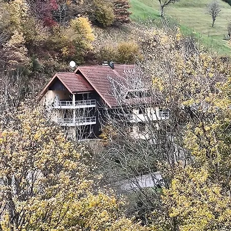 Startingpoint Mit Schwarzwald Apartment