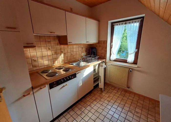 Startingpoint Apartment Bad Rippoldsau-Schapbach