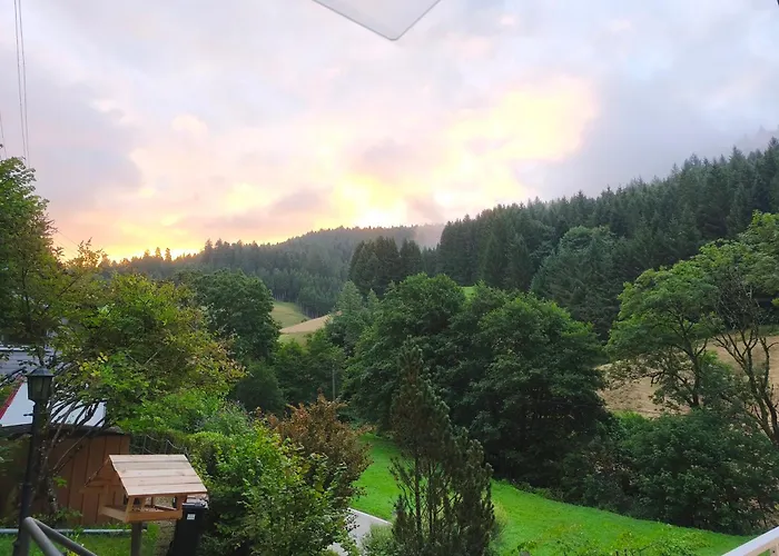 Apartment Startingpoint